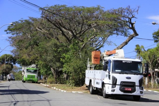 2020.06.03_arborizacao_segura_2