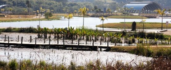 parque_luis_latorre_1